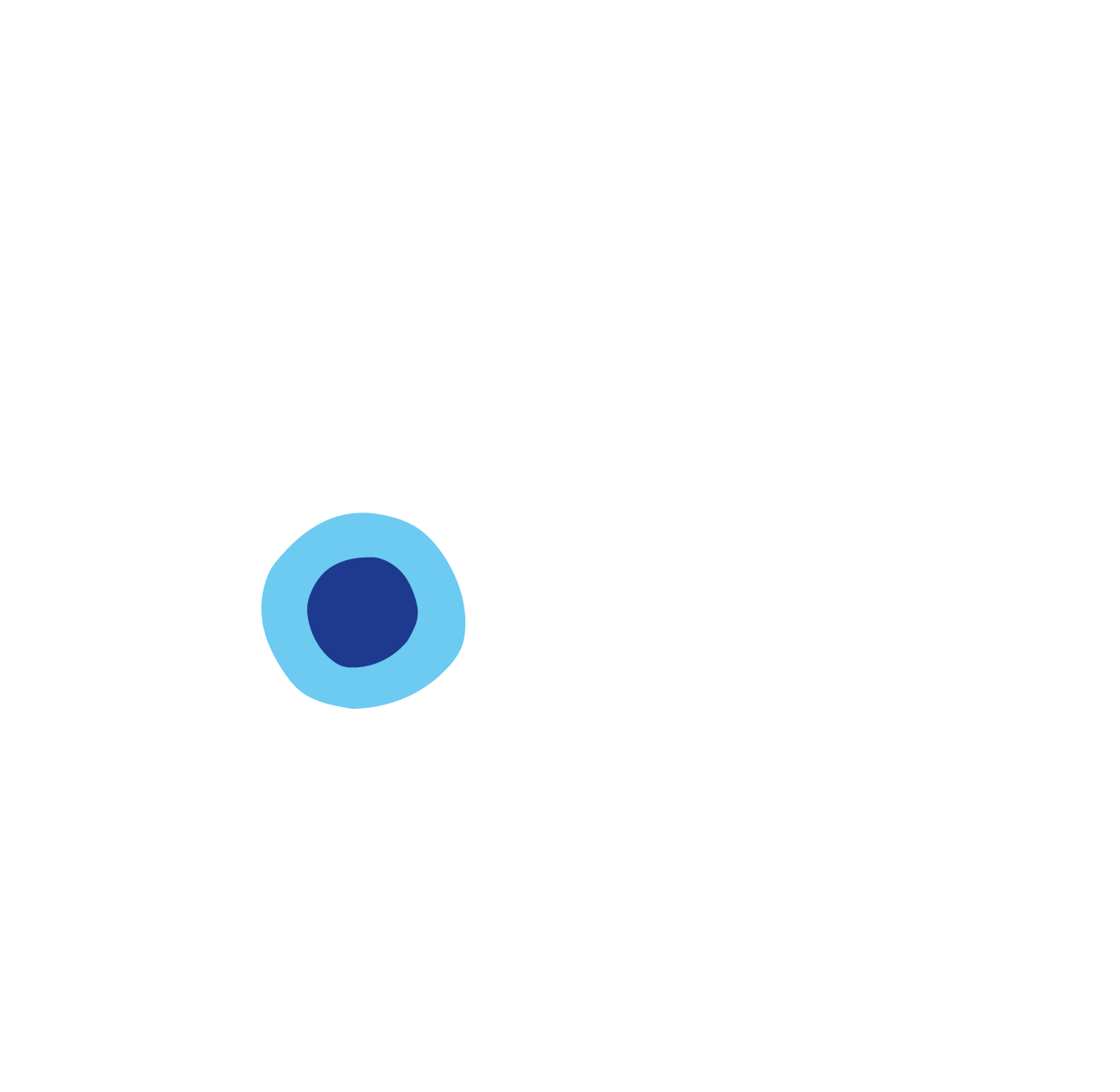 Fashion Coach
